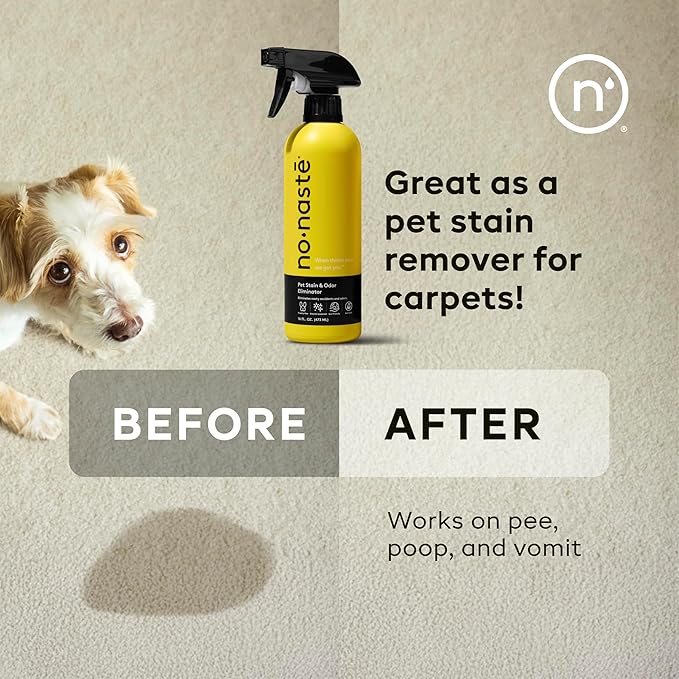Nonaste Pet Stain & Odor Eliminator Spray (16 Oz, Pack of 2) – Enzyme Cleaner Spray for Dogs & Cat Messes, Works on Carpets & Upholstery | Pet & Kid Safe, Urine Odor Stain Remover, Light Fresh Scent