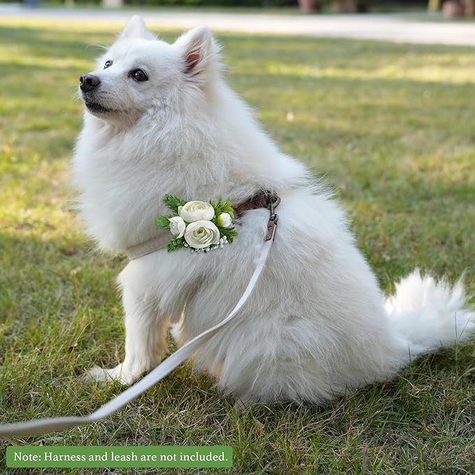 Pet Collar Flower Dog Wedding Flower Bow Tie Removable Floral Accessory for Dog Collar Elegant Rose Charm for Wedding Ceremony Puppies Cats Grooming, Pet Photo Prop (White)