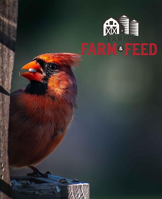 | Four Seasons | Safflower Seed | Wild Bird Food | Backyard Songbird | 2 Pounds