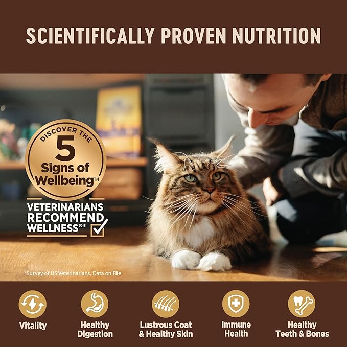 Wellness CORE Tiny Tasters Pate Adult Wet Cat Food, Natural, Protein-Rich, Grain Free, 1.75-Ounce Pouch, 12 Pack, (Land Variety Pack)