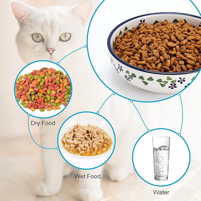 Ceramic Cat Bowls, Howise 5.3 in Cat Food Bowl, Cat Dishes for Food and Water, 3 Pack Shallow Pet Bowls for Indoor Cats, Floral Blue