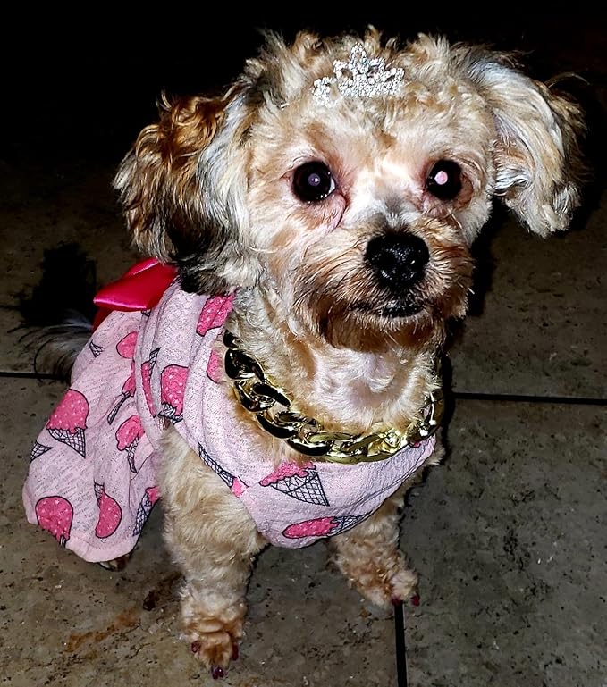 PET SHOW 1pc/Pack Dog Tiara Crown Hair Clips Bows for Small Dogs Costume Crystal Rhinestone Girls Puppies Barrette Grooming Hair Accessories