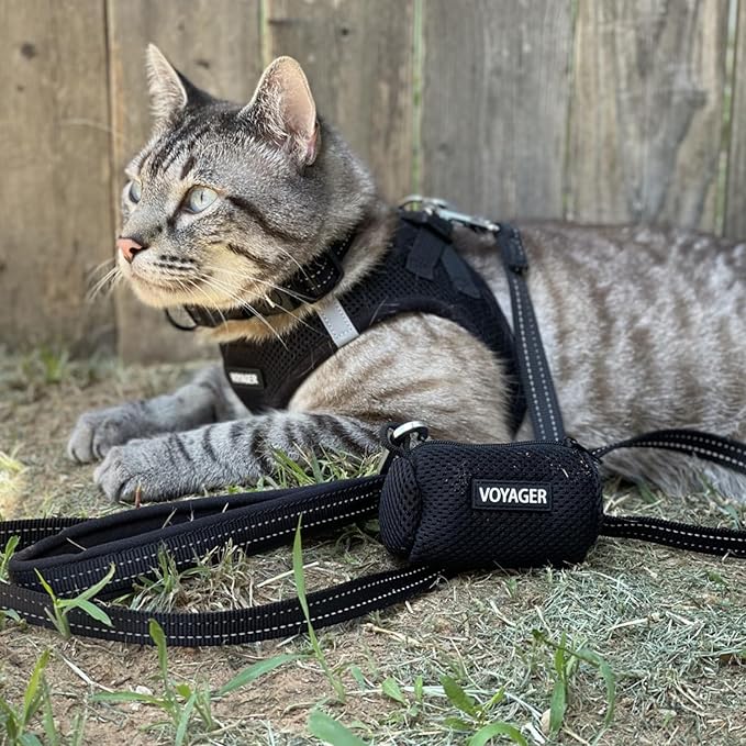 Best Pet Supplies Voyager Step-in Air Harness - All Weather Mesh, Reflective, No Pull Harness for Dogs, Cats - Secure with Hook & Loop Fastener, Buckle, Double D-Rings - Black, XXS