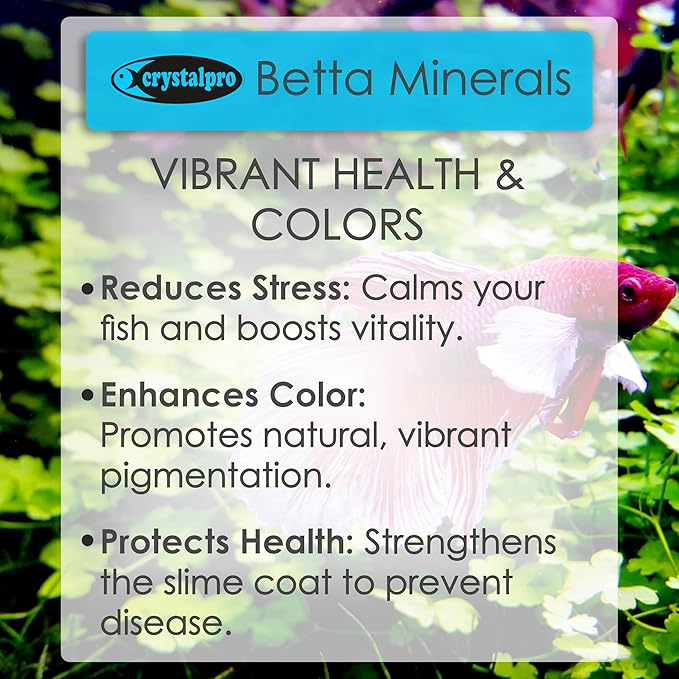 Betta Minerals for Betta Fish Health - Reduces Stress - Boosts Protective Coat - Aquarium Mineralizer (4.2 Oz (125ml))