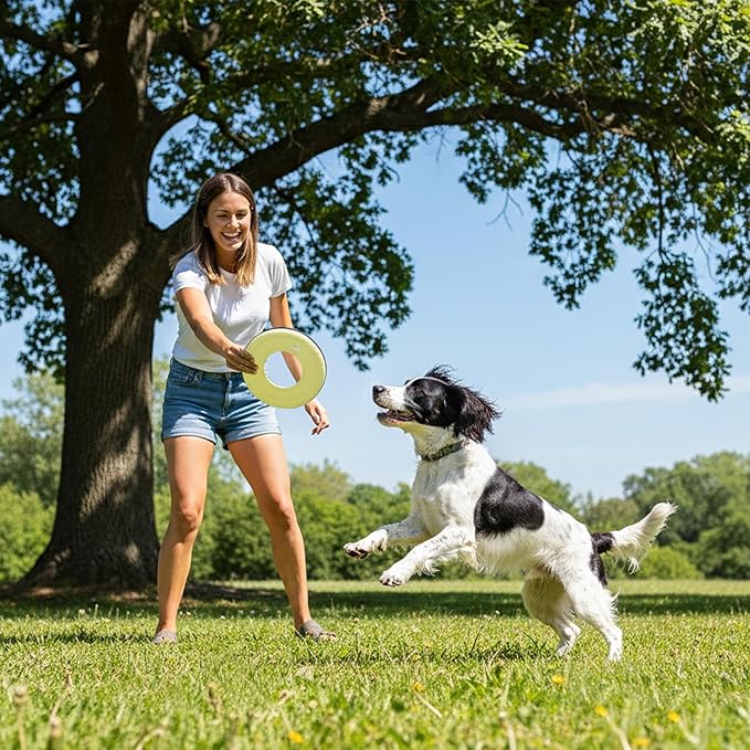 OllyDog Mini Super Flyer Dog Frisbee Toy, 9" – Durable, Lightweight & Water-Resistant Flying Disc – Soft on Teeth & Gums – Floats on Water – Outdoor Fetch Toy for Medium & Large Dogs (Sol)