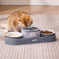 Cat Water Fountain and 2 Ceramic Food Bowls - 2 in 1 Ultra Quiet Automatic Pet Food and Water Bowl Set for Two Cats, Small Dogs, Gray (No Adapter)