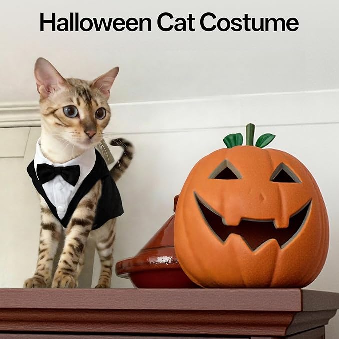 PUMYPOREITY Cat Tuxedo Suit Formal Wear with Bow Tie, Soft Skin-Friendly Cat Costumes for Cats Only, Elegant Outfit for Male Female Cats, Perfect for Wedding Birthday Photo Shoots, M, Black