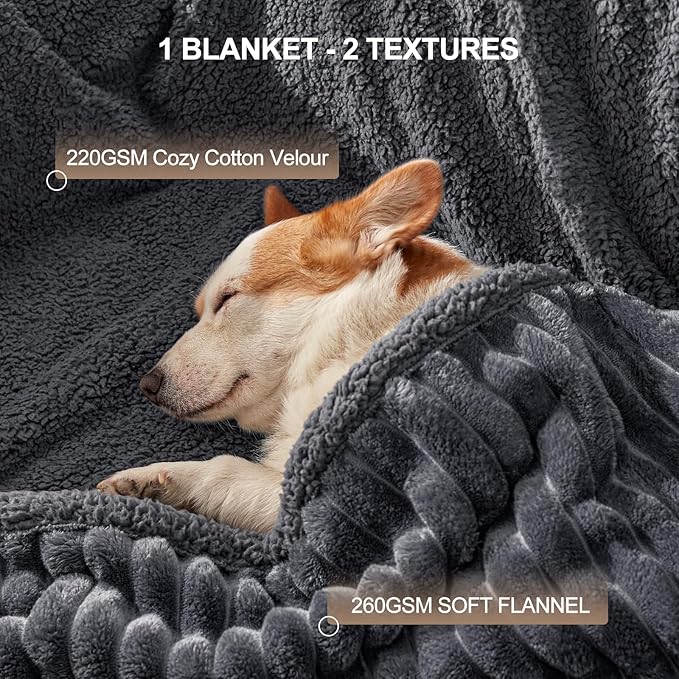 Waterproof Dog Blanket for Small Dogs, Washable Soft Puppy Cat Blanket Flannel Cotton Velour for Sofa Couch Protector, Comfort & Security Reversible Bed Protection for Pet, 25"X35", Gray