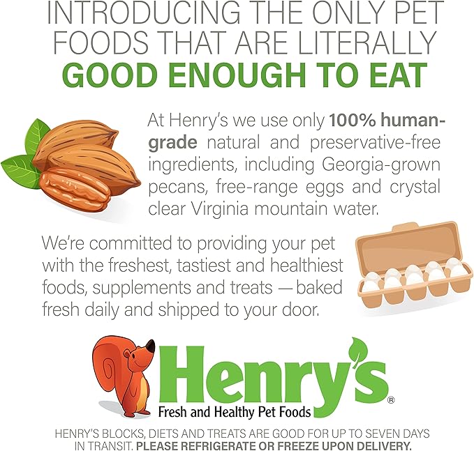 Henry's Picky Blocks - Nutritionally Complete Food for Squirrels, Flying Squirrels, and Chipmunks, 11 Ounces