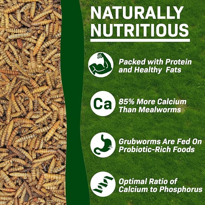 Exotic Nutrition 60 LB Bulk Dried Black Soldier Fly Larvae - High-Calcium Insect Treat - Chickens, Wild Birds, Bluebirds
