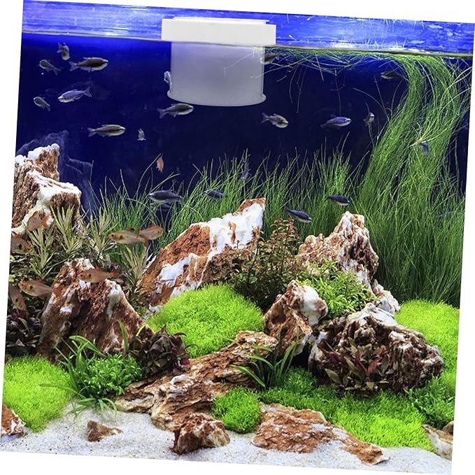 Mikikit Floating Aquarium Breeding Box Acrylic Fish Tank Isolator with Removable Cover Water Permeable Fish Separator and Adaptation