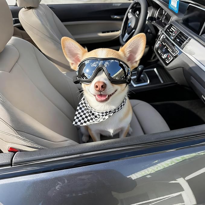 Namsan Small Dog Goggles, UV Protection Goggles for Dogs Small Breed, Puppy Sunglasses with Adjustable Straps, Windproof Dog Eye Protection for Outdoor Activities, Black