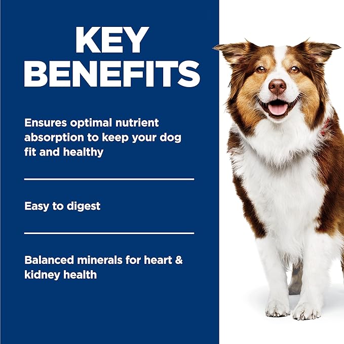 Hill's Science Diet Adult 7+ Wet Dog Food, Chicken & Vegetables, 12.8 oz. Cans, 12-Pack
