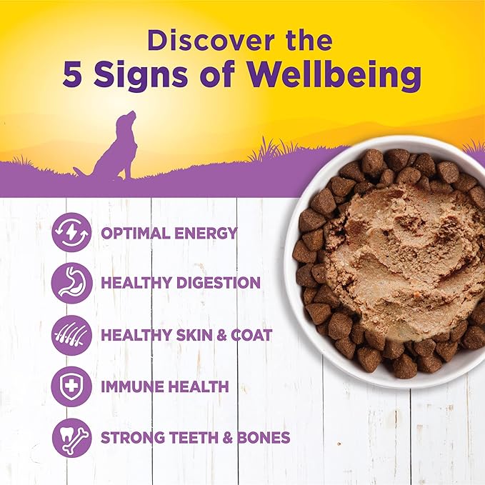 Wellness Complete Health Pate Age Advantage Senior Canned Wet Dog Food, Wholesome Grains, Natural, Chicken and Sweet Potato, 12.5 oz, Pack of 12 Cans