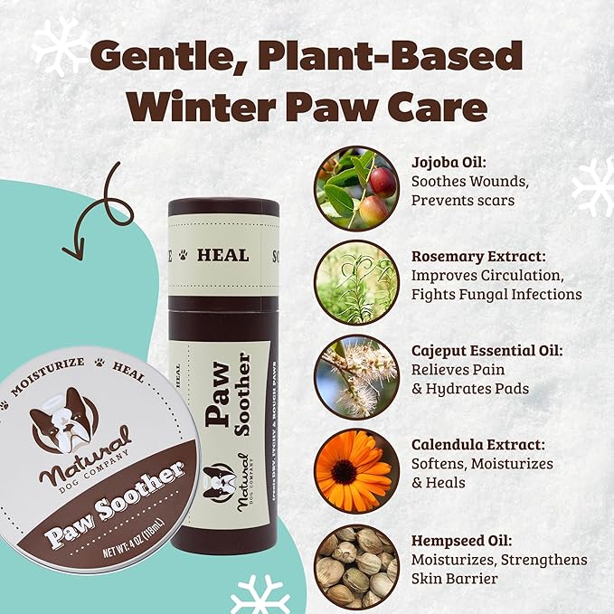 Natural Dog Company Paw Soother Balm & Wax - Dog Paw Balm & Moisturizer for Dry, Cracked Paw Pads, Helps Moisturize & Condition Winter-Worn Paws, Coconut Oil & Calendula, Daily Paws Care, 4 oz Tin