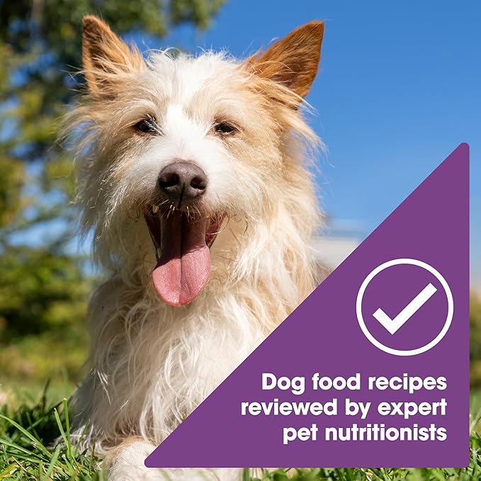 Nature's Recipe Grain Free Chicken & Lamb Recipe in Savory Broth Wet Dog Food, 2.75 oz. Cup, 12 Count
