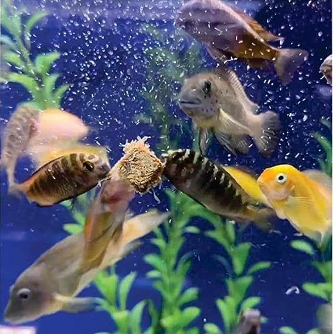 Super Cichlids Freeze Dried Blackworms with Color Boost - Great for Tropical & Marine Aquariums - High Protein, No Preservatives - Live Blackworms Replacement (75 Grams)