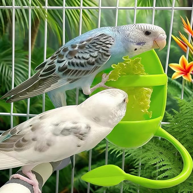 2pcs Cuttlebone Holder for Bird Cage, Plastic Food Holder for Cuttlebone for Birds, Parakeets, Cockatiels, Budgies and Finches - Cuddle Bones Feeding Rack