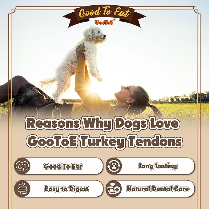 Gootoe Turkey Tendons for Dogs –All-Natural, Hypoallergenic Dog Treats, Rawhide Alternative, Long Lasting Puppy Chews, Healthy Dog Treats for Large Breeds, Rope (L), 2 Count Pack