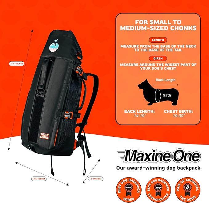 Maxine One Dog Backpack Carrier for Medium Dogs by Little Chonk | Adjustable & Ergonomic Front Facing Dog Carrier Backpack | Bult to be Safer | Pet Backpack Carrier, Featured in Wired Magazine - Gray