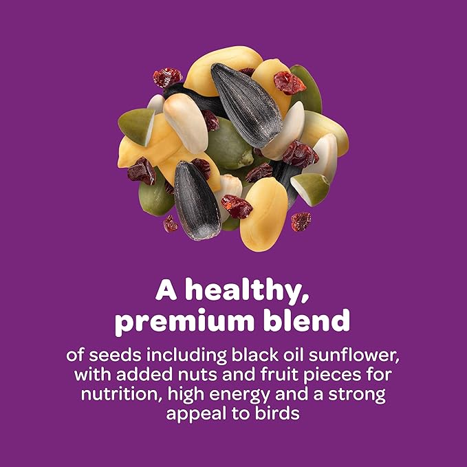Kaytee Wild Bird Nut & Fruit Seed Cake for Cardinals, Nuthatches, Juncos, Woodpeckers, Grosbeaks and More Songbirds, 1.85 Pounds, Pack of 4
