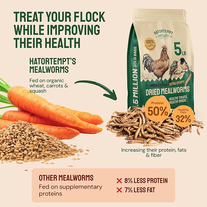 Hatortempt Dried Mealworms - Non-GMO & Organic - High-Protein Mealworms for Wild Bird Food, Ducks & Chickens (5lb)