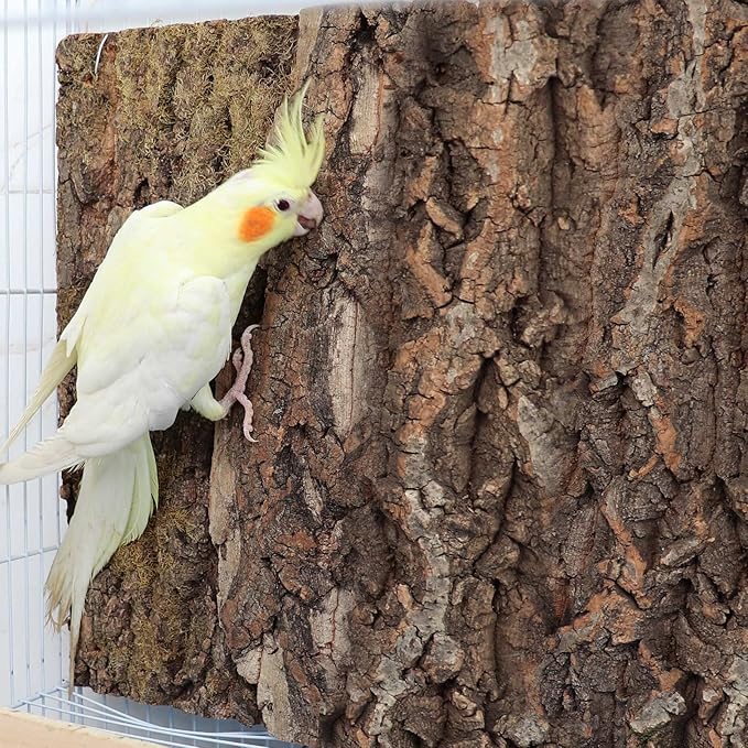 2 Pack 16 x 12 Inch 100% Natural Cork Perch, Bird Cork Seat Boards, Birdcage Bark Decor Accessories for Birds Parakeets Budgie Parrot Cockatiel Hamster Guinea Pig Rat