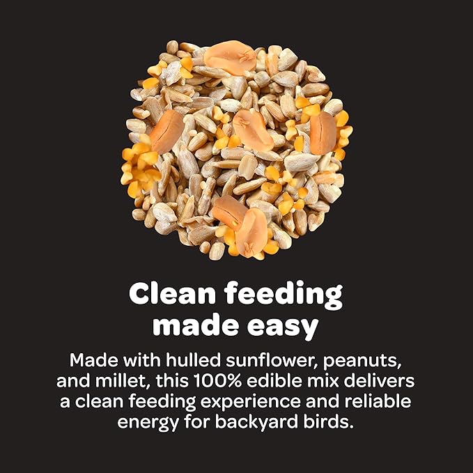 Kaytee No Mess Seed Cake, Wild Bird Food for Nuthatches, Cardinals, Finches, and Other Songbirds, 2.5 Pounds 4 Count