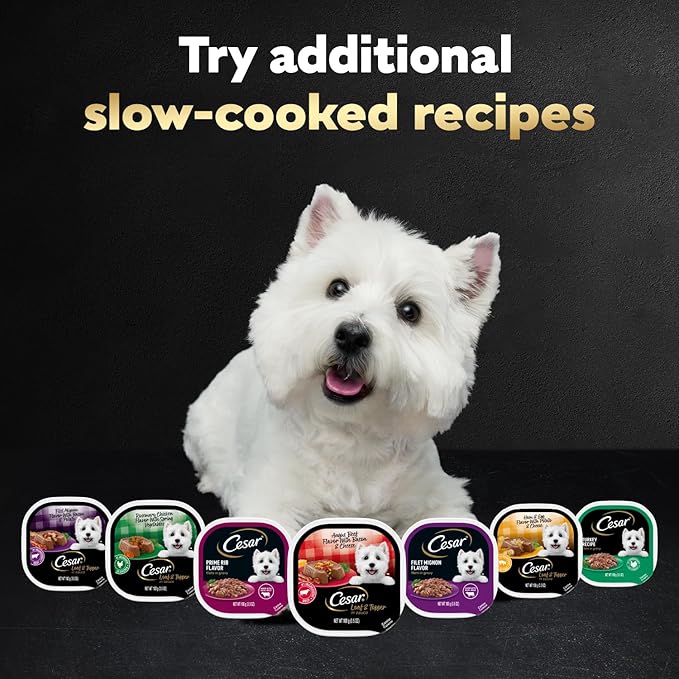 Cesar Loaf & Topper in Sauce Wet Dog Food, Angus Beef Flavor with Bacon & Cheese, Wet Food for Dogs, 3.5 oz Easy Peel Trays, 24 Count