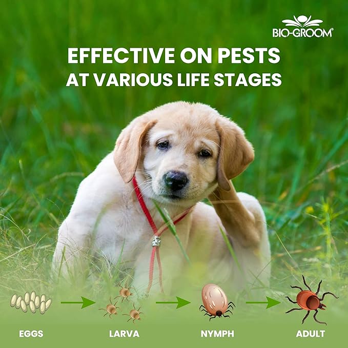 Bio-Groom Flea & Tick Dog Shampoo - Flea and Tick Prevention for Dogs, Cat Flea Treatment, Cruelty-Free, Made in USA, Natural Tick Repellent, Protein-Lanolin Shampoo - 12 fl oz 1-Pack