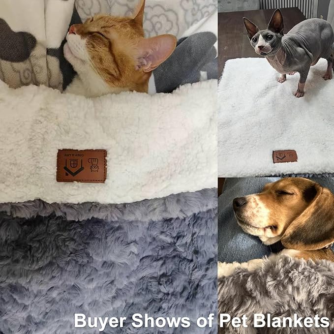Cat Blanket for Indoor Cats Ultra-Soft Plush Small Blanket Machine Washable Cozy Calming for Kittens Cats Bed Couch Car 21"x18" White