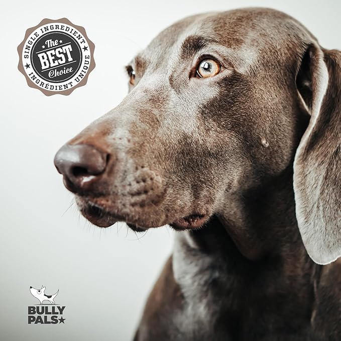 6 inch Thin Bully Sticks for Small Dogs and Puppies - 20 Pack - All Natural, Single Ingredient, Easily Digestible, All Beef Dog Treats and Rawhide Free Dental Chew Bones for Dogs