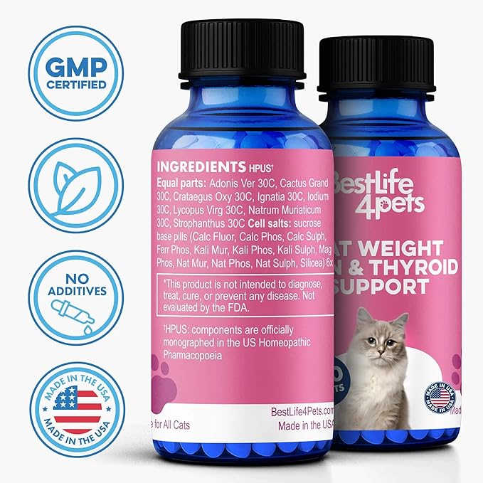 Cat Weight Gainer & Thyroid Support – Natural Appetite Stimulant for Cats, Underweight Kittens or Senior Cats Showing Restlessness and Poor Coat – 400 Odorless Pills Help Improve Daily Eating