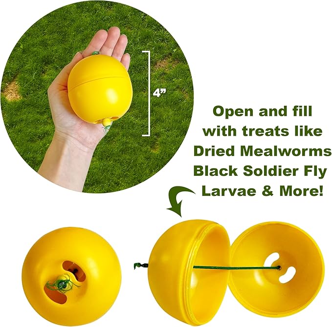 Exotic Nutrition Chicken Treat Dispenser - Fun & Unique Mealworm Foraging Toy for Chickens