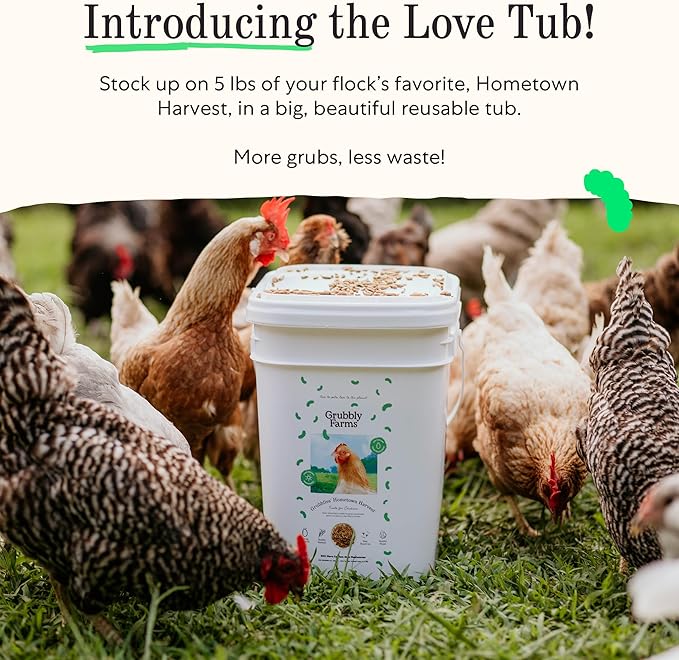 Grubbly Farms Love Tub - Black Soldier Fly Larvae for Chickens - Chicken Treats with 50x More Calcium for Strong Eggshells and Healthy Feathers - Grown in The US and Canada - 5lb Reusable Tub