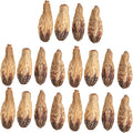 Parrot Chew Nuts, Natural Dried Nut Treats, 5 Bags - Boredom Relief, Mouth Sharpening, Home Decorative Pet Toy for Birds