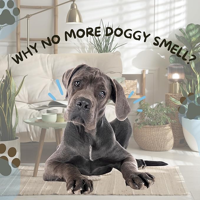 No-Rinse Dog Paw Cleaner & Pet Cleaning Spray for Dogs & Cats – Cleans Coat, Eyes & Ears, Hot Spot – Daily Cleaner for Pet Messes, Stains & Pet Odor Remover – No Harmful Chemicals (16 fl oz 2 Pack)