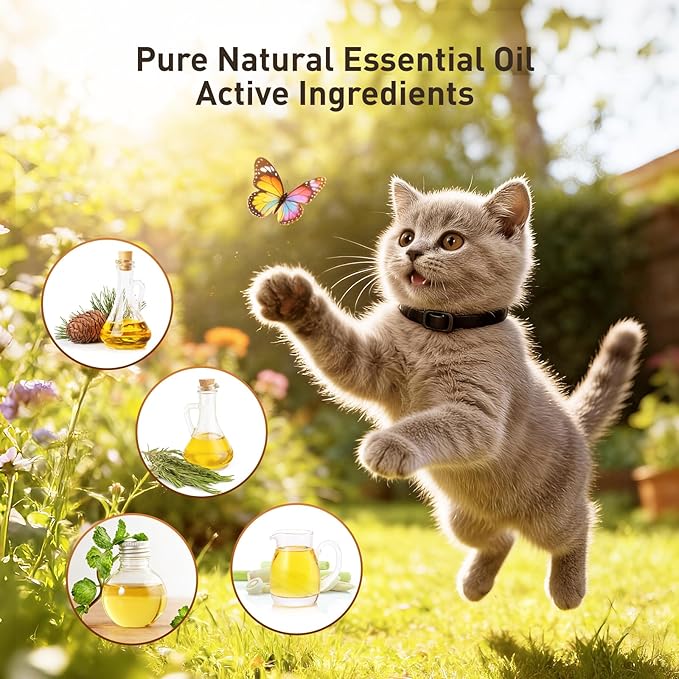 Flea and Tick Collar for Cats, 4 Pack Cat Flea Collar with Natural Essential Oils, Adjustable for All Cats & Kittens