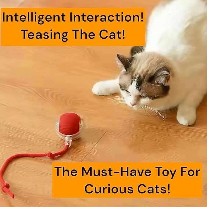 Interactive Electric Automatic Rolling Moving Rechargeable Self Play Stimulation Toy,Smart Pet Chase with Speedy Tail Rope for Bored Indoor Cats (Blue)