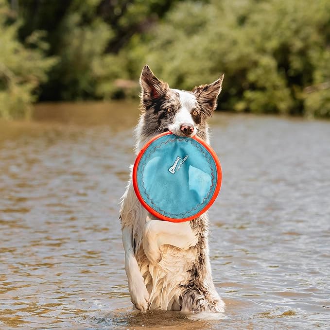 Chuckit! Paraflight Flying Disc Dog Toy - Water Floating Flyer - Durable Nylon Construction with Soft Rubber Edges - for Medium and Large Dogs - Size Large - 9.75" L x 9.75" W -,1 Count (Pack of 4)