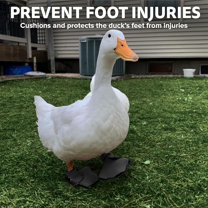 Duck Shoes for Injured Feet – Protective Neoprene Footwear for Ducks, Protective Shoes for Birds with Injured feet, Bumblefoot Relief - Small, 2.5’’ Max. Inside Width - Gray