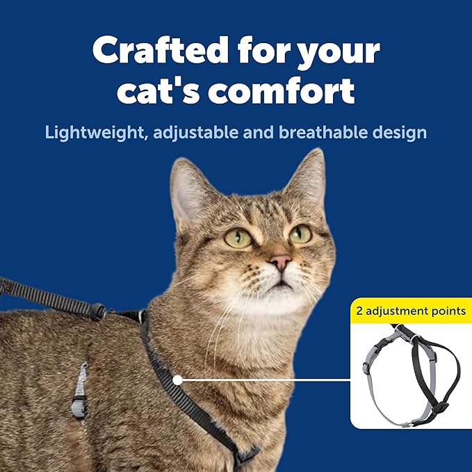 PetSafe Come with Me Kitty Harness and Bungee Leash, Large, Black