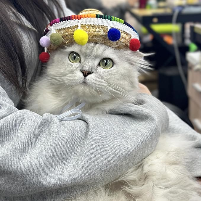 Sombrero Cat Hat for Cats Mexican Fiesta, Mini Sombrero Hat for Cat Cinco de Mayo Party Supplies Funny Sombrero Mexican Style Hats Headwear for Small Puppy Cats Costume Cute Sombrero