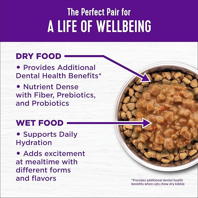 Wellness Complete Health Adult Dry Cat Food for Indoor Cats, Wholesome Grains, Natural, Chicken (5 Pound Bag)