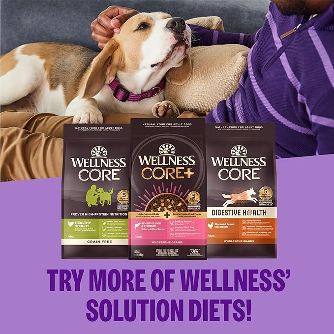 Wellness CORE Healthy Weight Adult Dry Dog Food, Grain Free Kibble, Natural, High Protein, Turkey and Chicken Recipe, 12 lb Bag