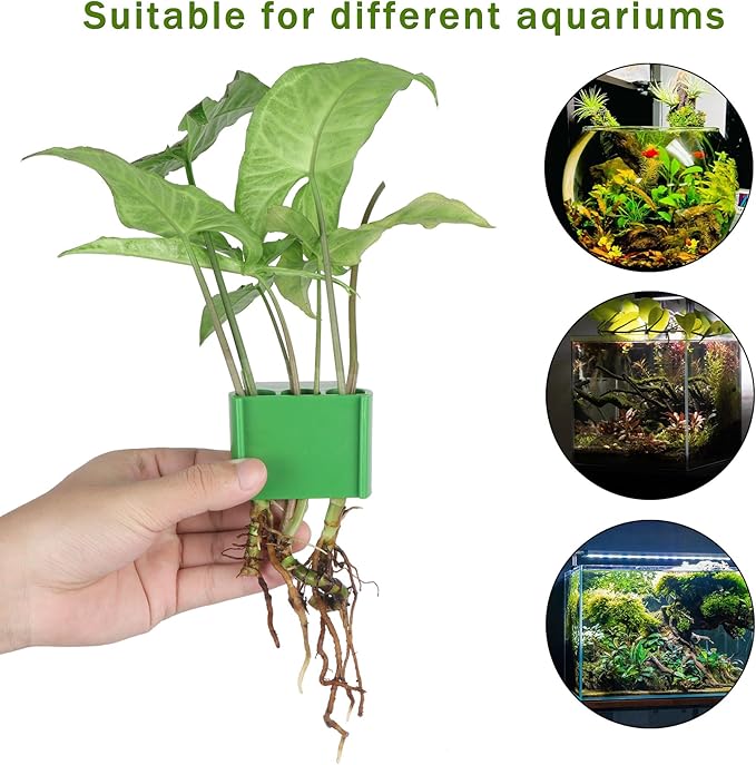 3 Holes Upgraded Aquatic Plant Cup Aquarium Plant Holder for Tank,Aquascape Accessories Decorations- Green 4 Pcs