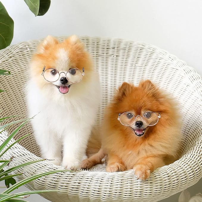 10 Pieces Cat Dog Sunglasses Funny Pet Glasses Round Metal Small Classic Retro Sunglasses Pet Hippie Cute Dog Cat Cosplay Party Costume Photo Props Cosplay Glasses(Transparent)