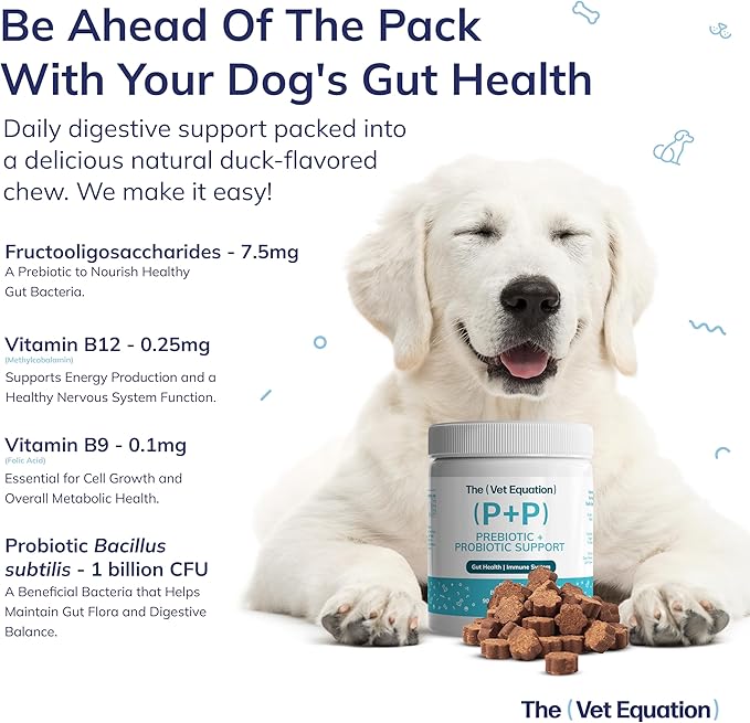 Prebiotic & Probiotic for Dogs – Digestive & Gut Health Chews – Natural Duck Flavor, 90 Count – with Bacillus Subtilis, Vitamin B12 & Folic Acid – Supports Immune & Digestive Health