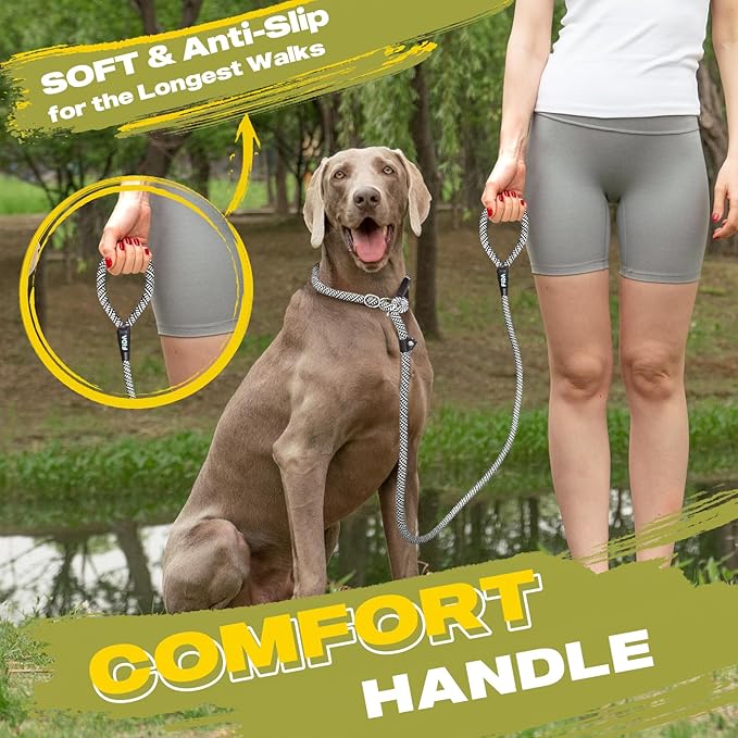 Fida Durable Slip Lead Dog Leash Bulk Pack of 5, Heavy Duty 1/2" x 6 FT Comfortable Strong Rope Slip Lead for Large, Medium & Small Dogs No Pulling Pet Training Leash with Highly Reflective (Grey)