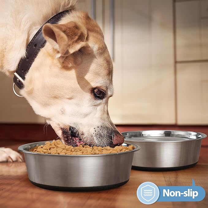 Stainless Steel Dog Bowls Set of 2, Anti Rust Metal & Non Slip Rubber Base, Heavy Duty Large Feeding Dishes, Food Grade BPA Free, Food and Water Bowl for Meduim Dogs (64oz, 8cup)
